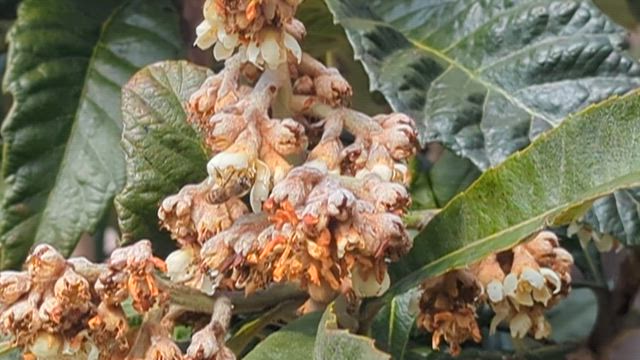 書けてなかったブログの記事動画