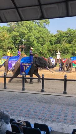 ひっさびさの海外旅行タイ ・バンコクに行く②〜象に乗るの記事動画
