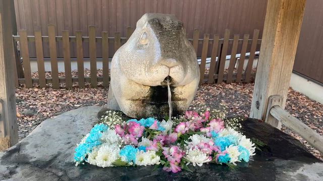 ☆今年初の調神社様へ☆の記事動画