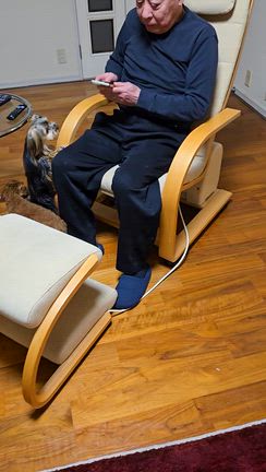 夫がワンちゃんに人気ある理由の記事動画