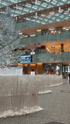 Mon An ＠新丸ビル ＆ わらび餅 ＠ヒツジヤの記事動画