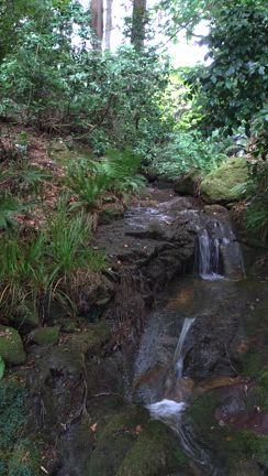 水不足のお朔日参りの記事動画