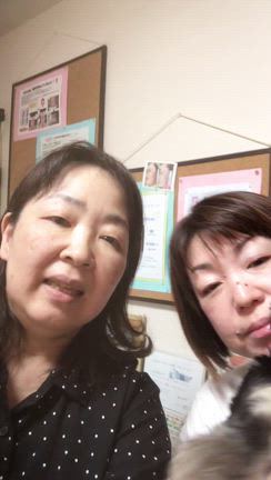 ２日に一回に変えただけの記事動画