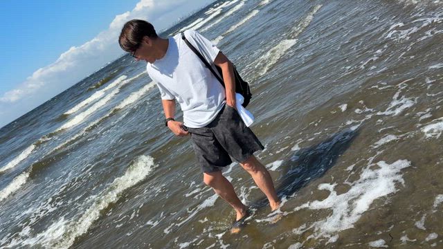 幕張の浜の記事動画