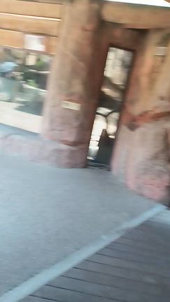 大阪天王寺動物園9月写真のみ　その14の記事動画