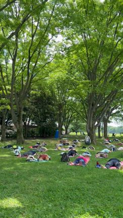 ご参加ありがとうございました！次回は6/14（土）パークヨガの記事動画