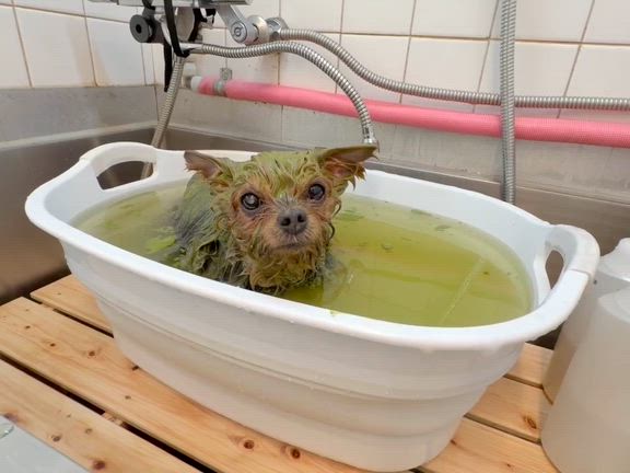 どうも腑に落ちんのでの記事動画