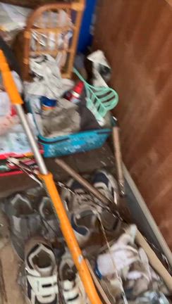 ちょこっと猫部　伊豆の国市案件の記事動画