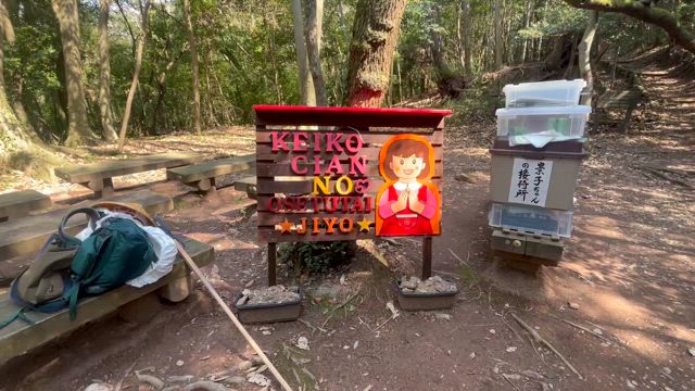 四国歩き遍路区切り打ち9回目 : 4日目　景子ちゃんのお接待所の記事動画