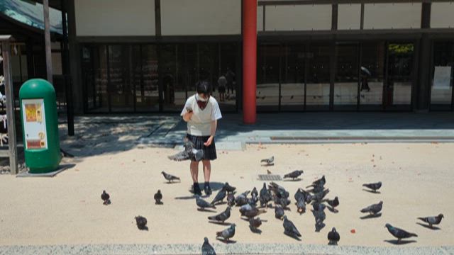 お受験の記事動画