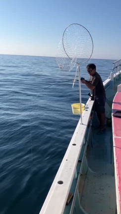 今日は楽しい一日なりました。^_^の記事動画