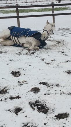 大石富川大雪の記事動画
