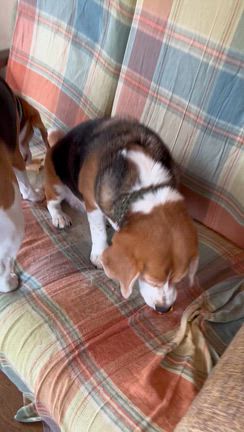 レンチンして正解！の記事動画