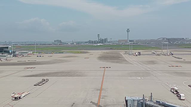 写真で振り返る2024年の夏休みの記事動画