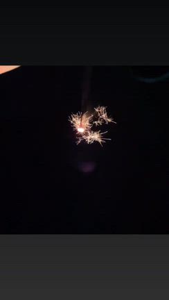 秋田の実家へ帰省の記事動画