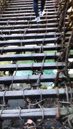 四国旅行の記事動画