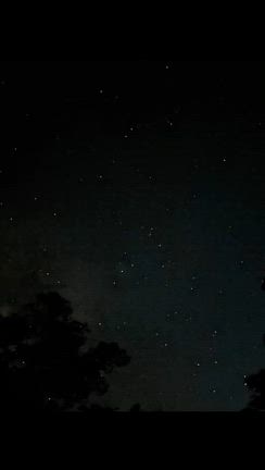 沖縄やんばるの秘密基地masany landから見える天の川！の記事動画