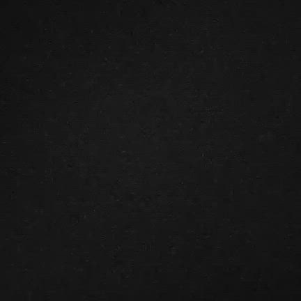 同時多発テロ状態の花火大会の記事動画