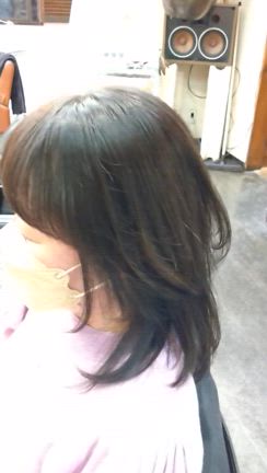 ネオピース12×14カットして来たよっの記事動画