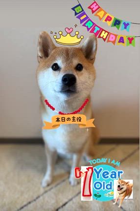 10月に突入〜✨の記事動画