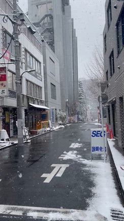 今夜も飲んで歌おう〜の記事動画