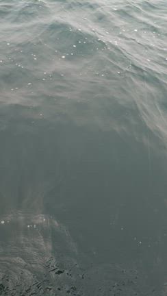 新発売　X-75 SWの記事動画