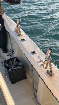 昼メバル‼️の記事動画