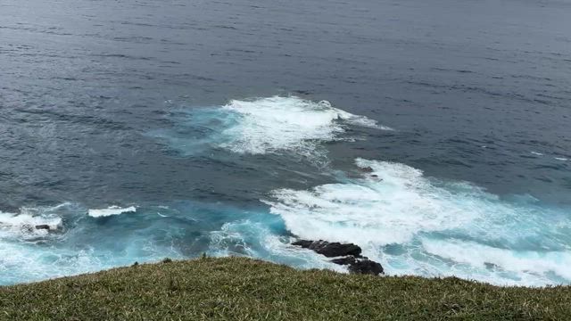 令和7年うお座新月の記事動画