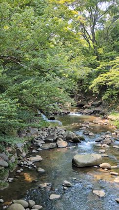 切磋琢磨の記事動画