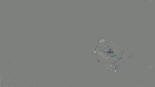 #53 デビューチャレンジワンマンまであと4日 ☆そま☆の記事動画