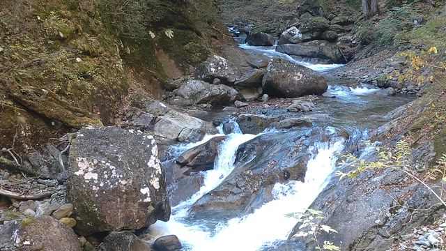 NEW MOUNTAIN FRIEND ᨒ.ꉂꉂ(ˊᗜˋ*)の記事動画