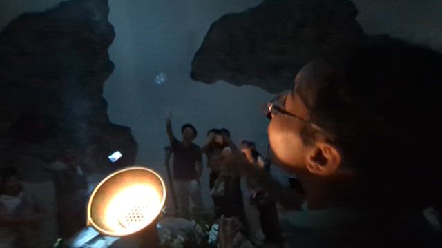 大阪・関西万博2025に行ってきました。の記事動画