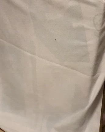 不思議なおしゃべりの記事動画