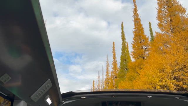 グッと！モーニングです！クルックー！の記事動画