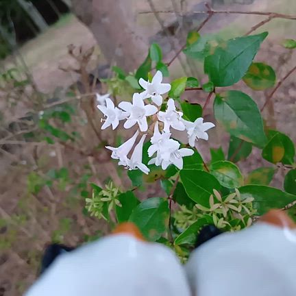 2025/9/18の記事動画