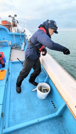 藤義丸　シルバー　金槌 藤義丸 シルバー 金槌 24ミリ - メルカリ