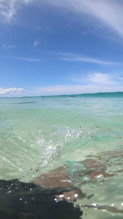 朝6時に起きてノースショアに向かって波チェック〜胸頭サイズのサーフィンを太志プロGoProで〜♪の記事動画