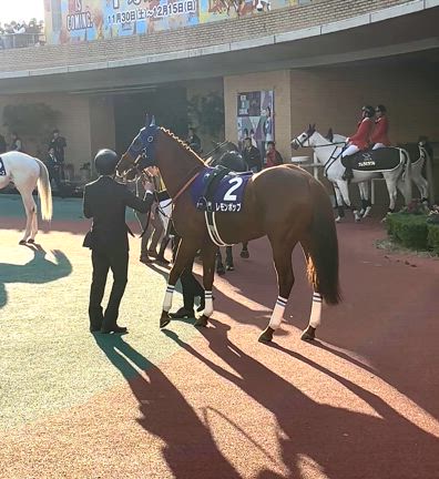 中京競馬場　レモンポップの引退レースの記事動画