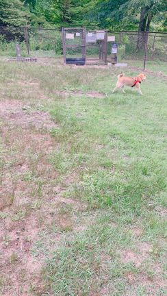 岐阜県に行ってきました！♡の記事動画