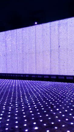 あしかがフラワーパークにて♪パート2の記事動画