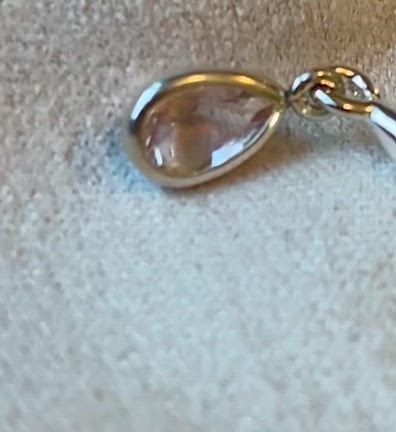 披露！の記事動画