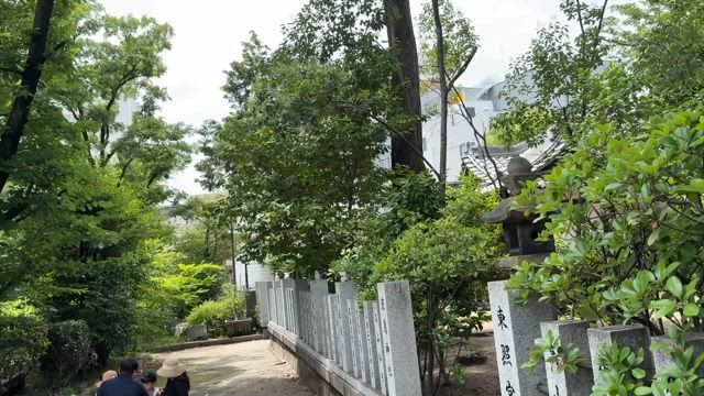 6月の浴衣　♫ウェザーリポートの記事動画