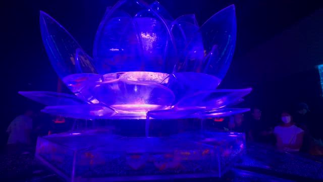 充実した一日だった･:*ೄ‧͙·*♪の記事動画