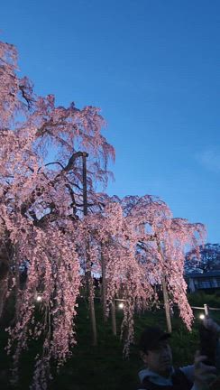 ぶんちゃの戯言〜4月〜の記事動画