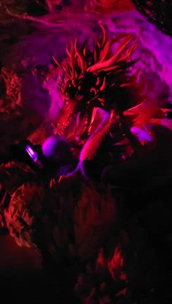 裏江ノ島と江の島岩屋との記事動画
