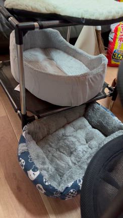 ベッドを新調しました！の記事動画