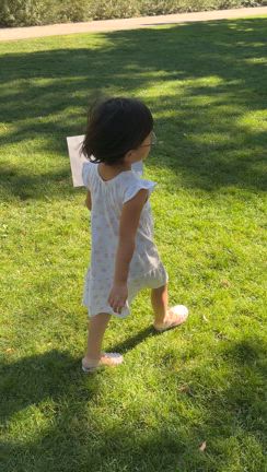 家が決まった！の記事動画