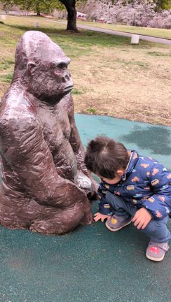 はじめてのこどもの国デート♡の記事動画