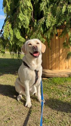 07年11月29日① 俺の相棒の記事動画