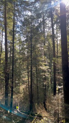 あなたが取り入れたい感覚ってなに？の記事動画